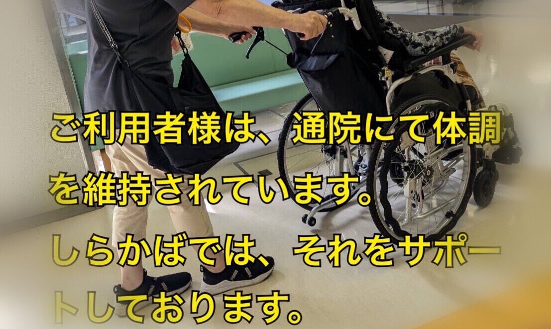 訪問介護・通院支援って何？青森市・訪問介護ステーションしらかばの写真を交えながらご紹介！