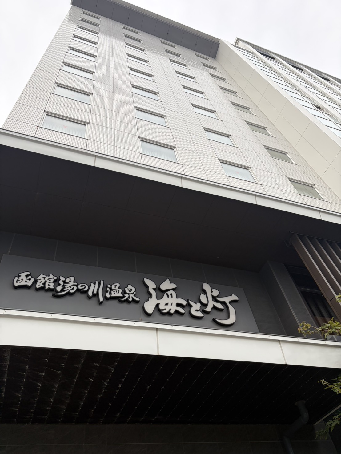 入職5か月！新人職員の函館フォローアップ研修を実施しました🚢✨